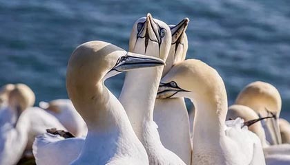 长沙茶韵之旅，精选海选工作室的茶艺文化体验