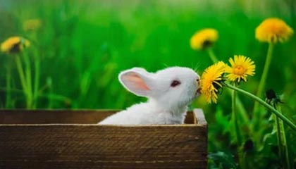 长沙SPA之旅，身心的华丽重生